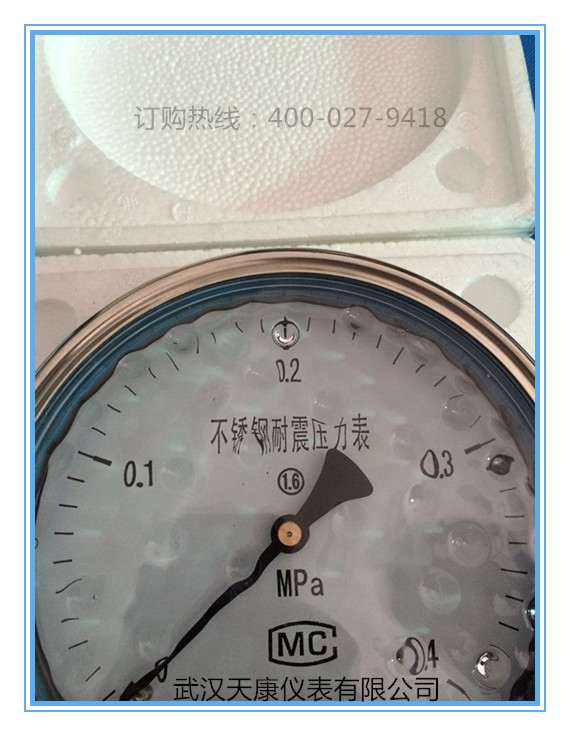 耐震压力表YTN-150