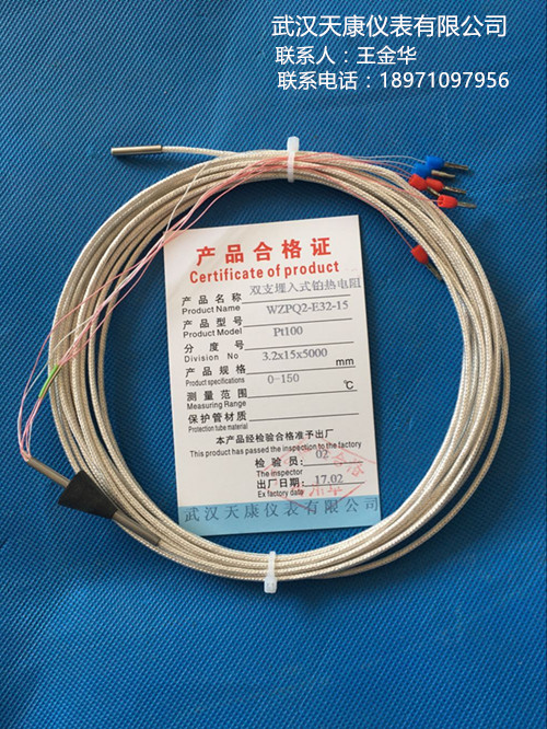 武汉天康双支埋入式铂热电阻WZPQ2-E32-15厂家直销，ISO9001认证售后保障